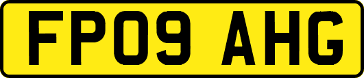 FP09AHG