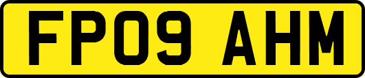 FP09AHM