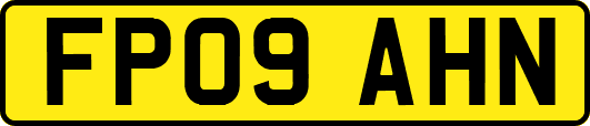 FP09AHN