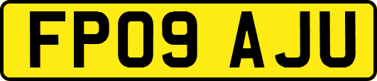 FP09AJU