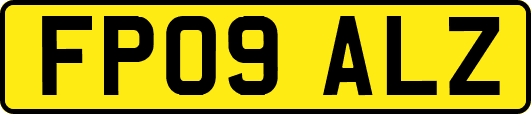 FP09ALZ