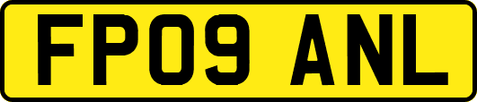 FP09ANL