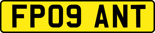 FP09ANT