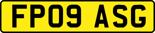 FP09ASG