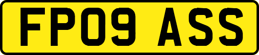 FP09ASS