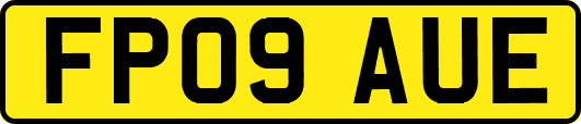 FP09AUE