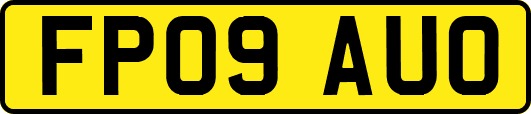FP09AUO