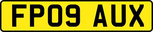 FP09AUX