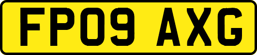 FP09AXG