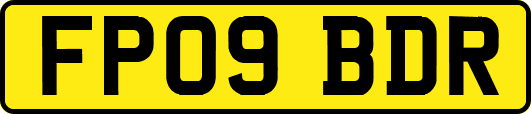 FP09BDR