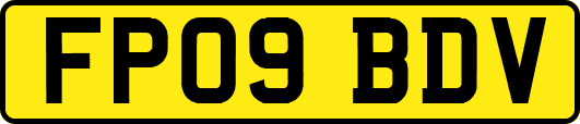 FP09BDV
