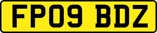 FP09BDZ