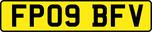 FP09BFV
