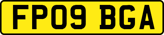 FP09BGA