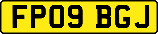 FP09BGJ