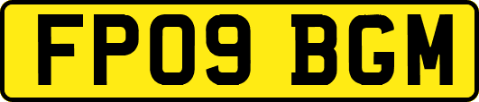 FP09BGM