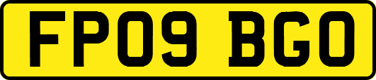 FP09BGO