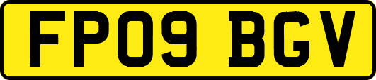 FP09BGV