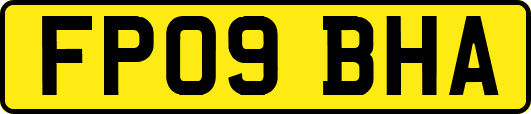 FP09BHA