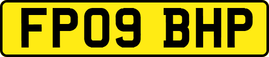 FP09BHP