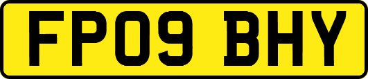 FP09BHY