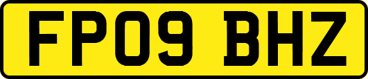 FP09BHZ