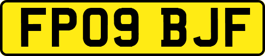 FP09BJF