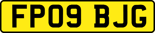 FP09BJG