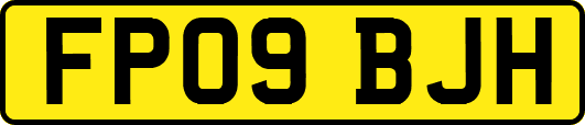 FP09BJH