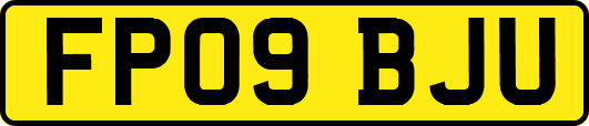 FP09BJU