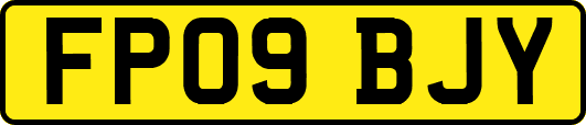 FP09BJY
