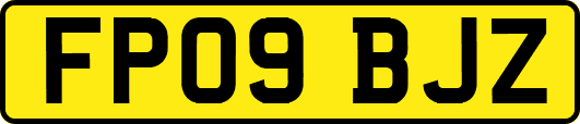 FP09BJZ