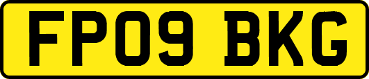 FP09BKG