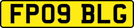 FP09BLG