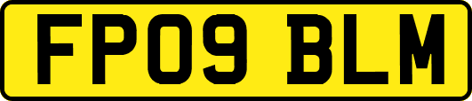 FP09BLM