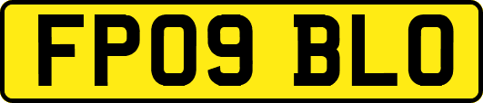 FP09BLO