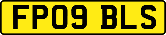 FP09BLS