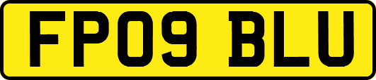 FP09BLU
