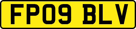 FP09BLV