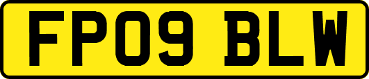 FP09BLW