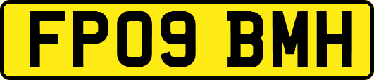 FP09BMH
