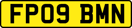 FP09BMN
