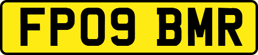 FP09BMR