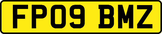 FP09BMZ
