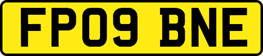 FP09BNE