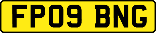 FP09BNG