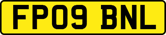 FP09BNL