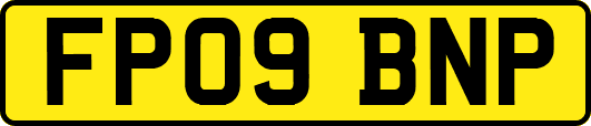 FP09BNP