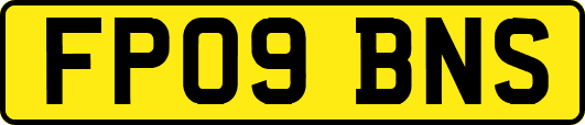 FP09BNS