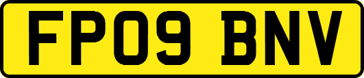 FP09BNV